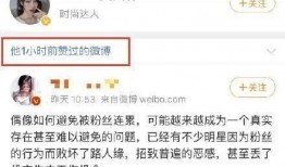 娱乐吃瓜者被告,揭秘网络舆论的边界与责任