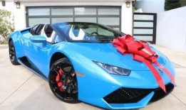 向主播爆料兰博基尼视频,主播独家爆料，速度与激情背后的故事